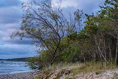 东亚杯精彩瞬间 U23国足冲击成焦点，u23亚洲杯东亚大区